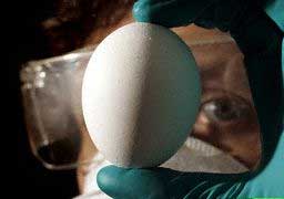 h5n117020