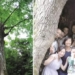 a 400 year old tree can accurately predict the weather in china 135316