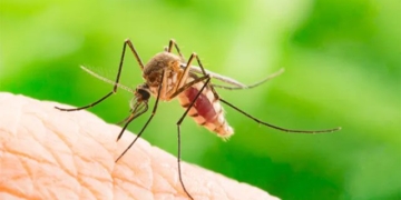 a person can have hemorrhagic fever many times in a lifetime 129167