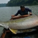 amazon river monster reborn in nature 109641