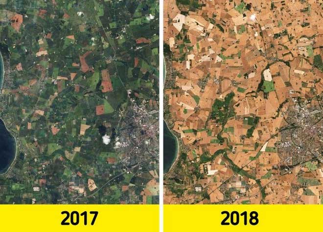 Heat waves have also spread to agricultural fields