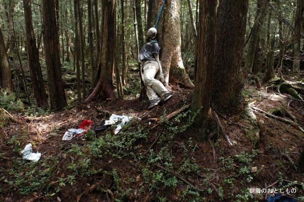 Aokigahara Suicide Forest