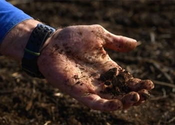 australian farmers in year to recapture carbon dioxide emissions 136265