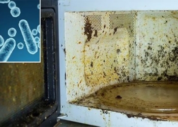 bacteria resistance removes dangerous pathogens in the life sustaining microwave 136070