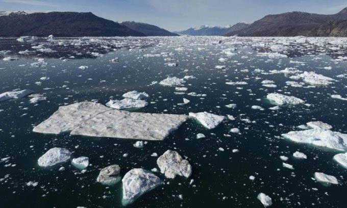 Icebergs drifting along Scoresby Sound in East Greenland.