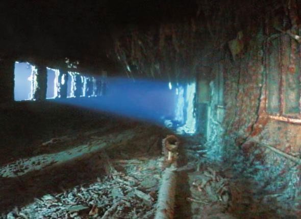 Marine life encrusted on the ship's steel hull