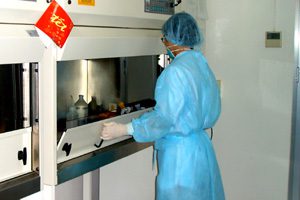 Extracting viral RNA at the Pasteur Institute in Ho Chi Minh City. Photo: Mỹ Lan