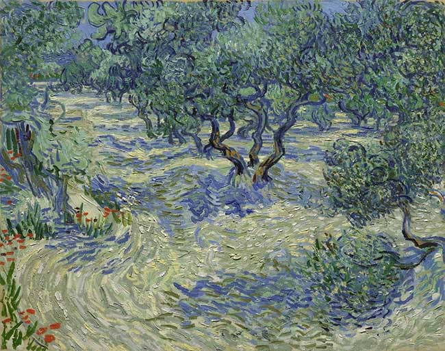 The famous painting "Olive Trees" by artist Vincent Van Gogh.