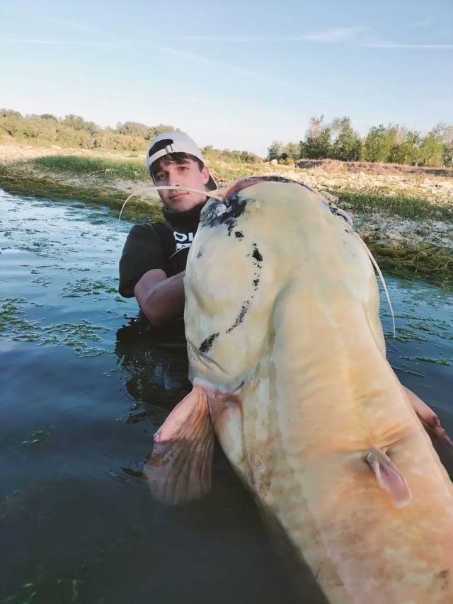 One of the young men takes a picture with the catfish.