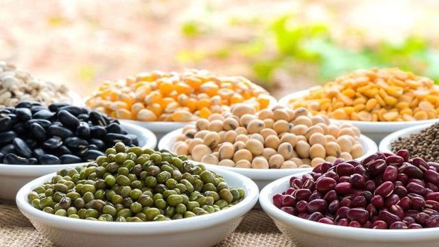 Legumes provide soluble fiber beneficial for diabetes patients.