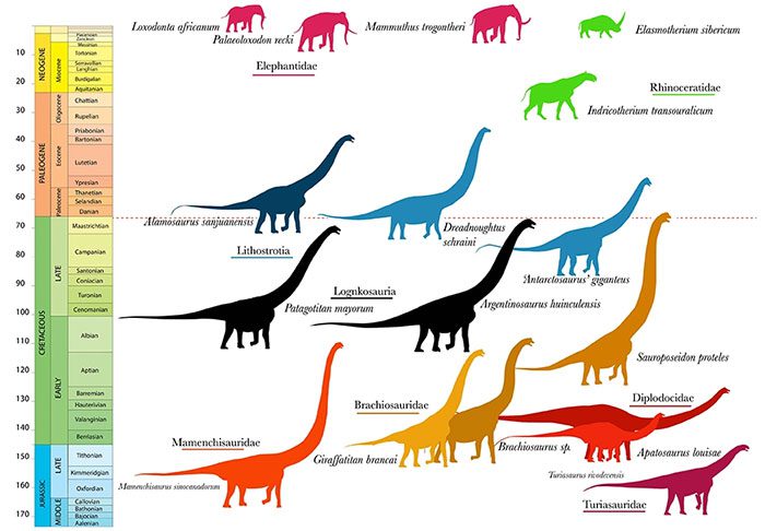 Dinosaurs and mammals through time.