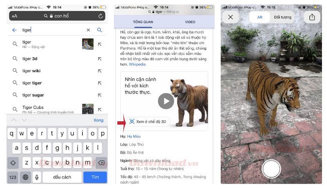 How to view 3D images of animals like lions, cats, dogs, horses, sharks on Google