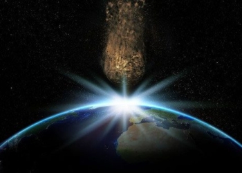 can humans survive after the asteroid impact that extinguished the dinosaurs 136316