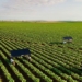 can robots replace pesticides 135701