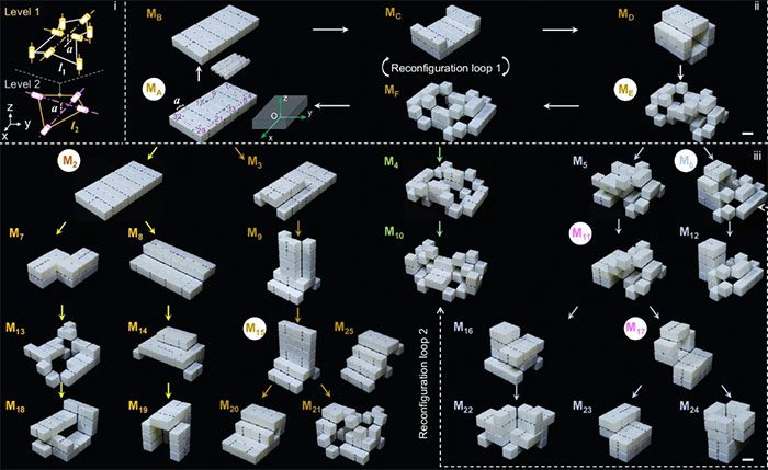 Thanks to the architecture of cubes, the robot can transform into various shapes