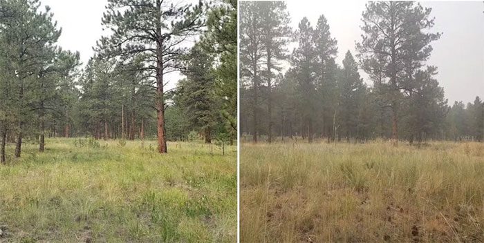 A clear day vs. a day affected by wildfire smoke