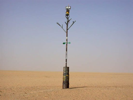 The story of the loneliest tree on the planet