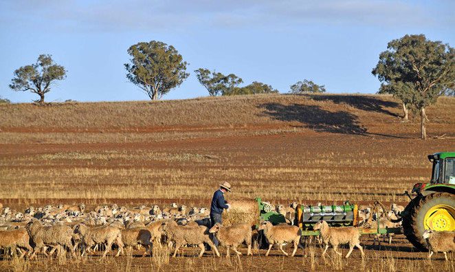 Drought scene in the grasslands of Duri, New South Wales, Australia.