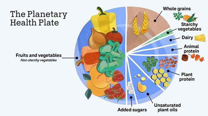 A planetary diet rich in vegetables and low in meat and fish