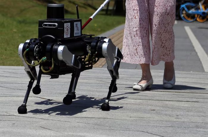 Guide dog robot integrated with AI technology.