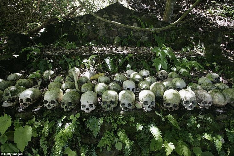 The corpses in cages are placed near the Taru Menyan tree.