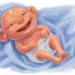 choose bim for baby 2729