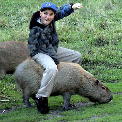 Children playing with capybaras