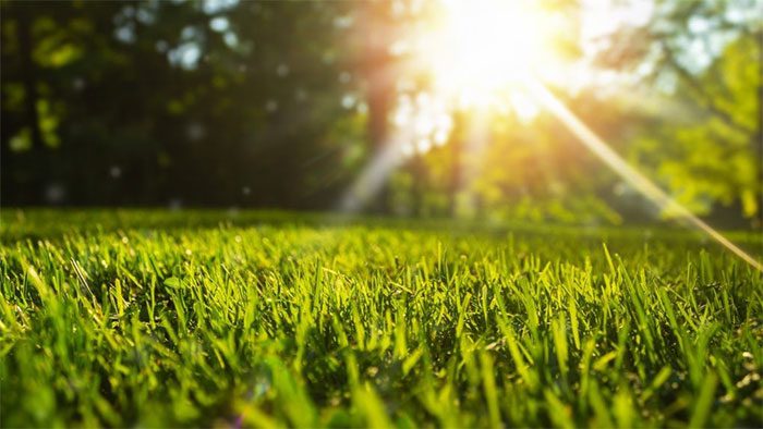 Artificial grass protects athletes from burns and exhaustion due to hot weather.