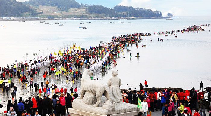 The path in the ocean appears rarely each year and attracts many tourists in South Korea