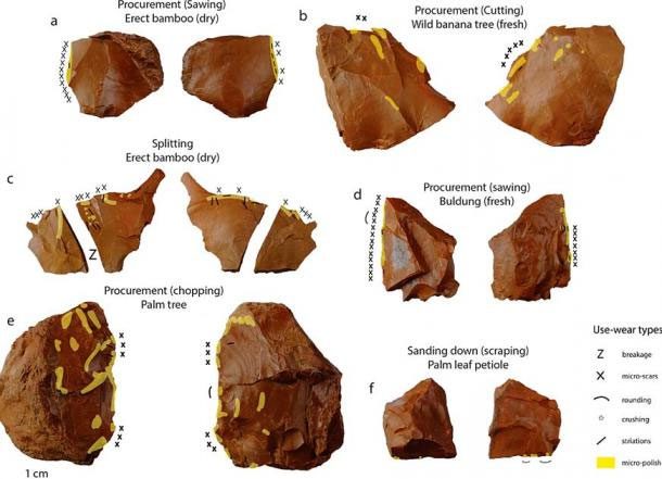 Stone tools reveal fiber technology that emerged at an astonishing time in the Philippines