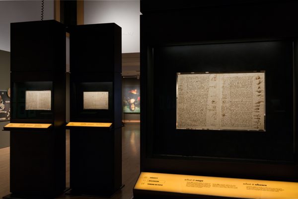 The most expensive book showcasing the genius of Leonardo da Vinci