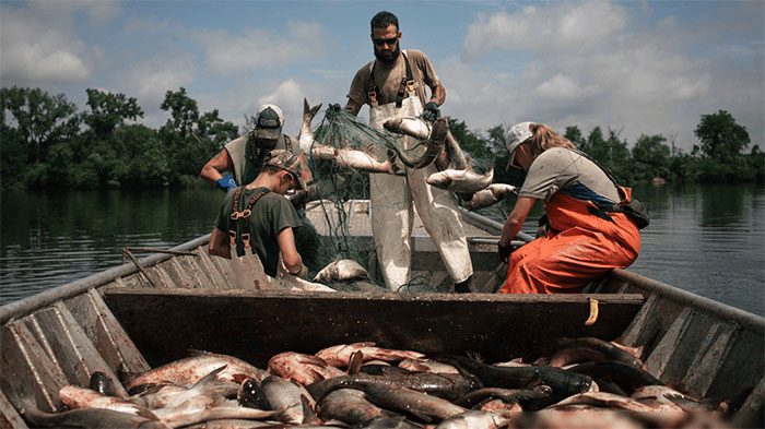 Fishing on a river.