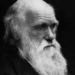 darwin is being expelled 2289