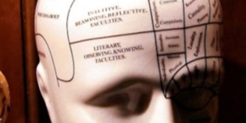 decoding the phenomenon of reincarnation 32439
