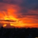 decoding the phoenix appears in the sky of ho chi minh city 107507