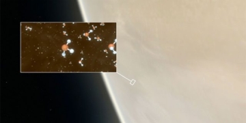 detecting signs of life on the clouds of venus 108257