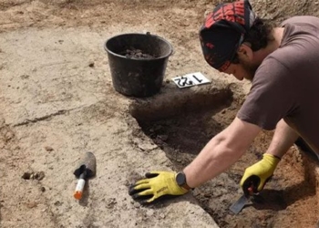 discovery of a settlement dating back 7 000 years in the czech republic 135930