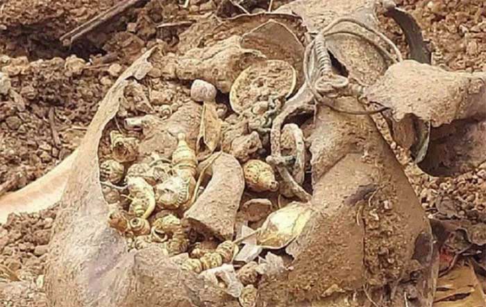 The workers uncovered a treasure comprising entirely of gold and silver artifacts while digging the foundation for a house.
