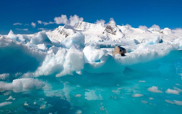 Mysterious creatures existing beneath a thick layer of ice 740m in Antarctica