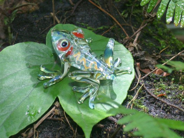 Impressive and Mysterious Transparent Animals