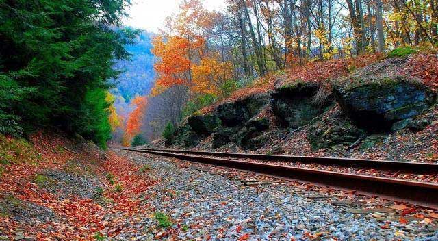 In fact, the stones next to the tracks are not ordinary rocks.