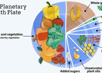 eating more vegetables and less meat helps reduce 17 of greenhouse gas emissions