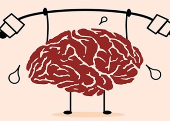 excessive brain activity can help us burn 108202 calories