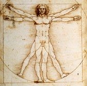 explore northern vietnam vitruvian man by da vinci is perfect 52100