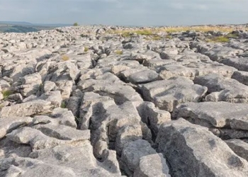 explore the giant stone forest in the uk 135869