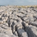 explore the giant stone forest in the uk 135869