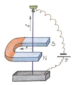 faraday tutruong