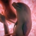 first 3d animal pregnancy images 10327