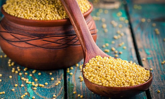 Millet has better climate resilience than major grains.