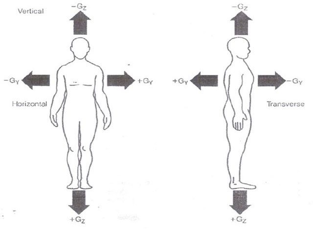 The circulatory system is significantly affected by increased G-force during flight.